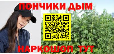шишки Бузулук