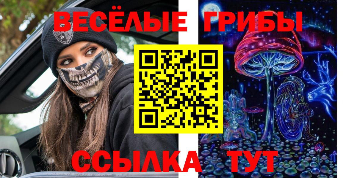 Галлюциногенные грибы Cubensis  Вход с VPN  Михайловск 